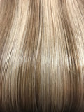 Sunkissed Blonde (#10/24) One-Piece Clip-In Extensions